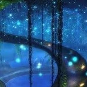 Meet your Posher, Carla